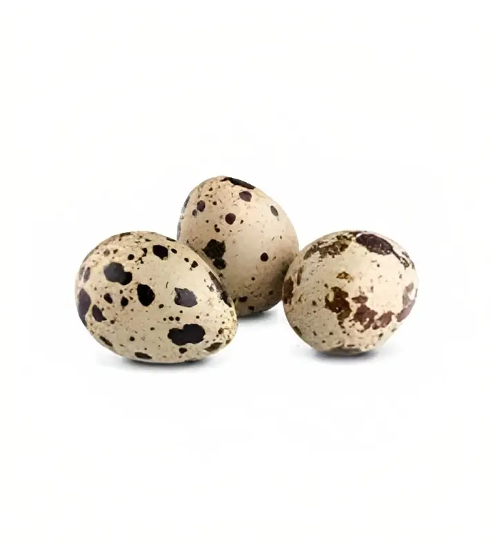 Quill Eggs