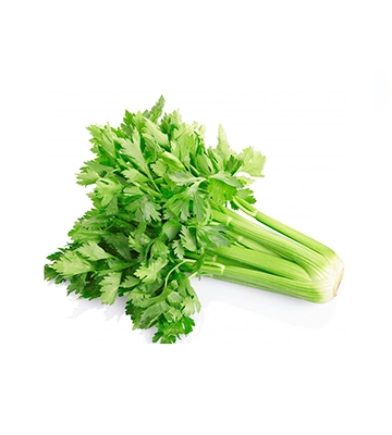 Celery