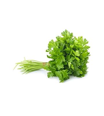 Coriander-leaves