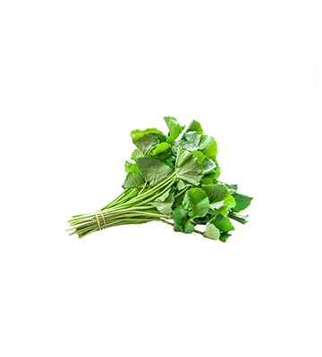 Herbs and Leafy Vegetables