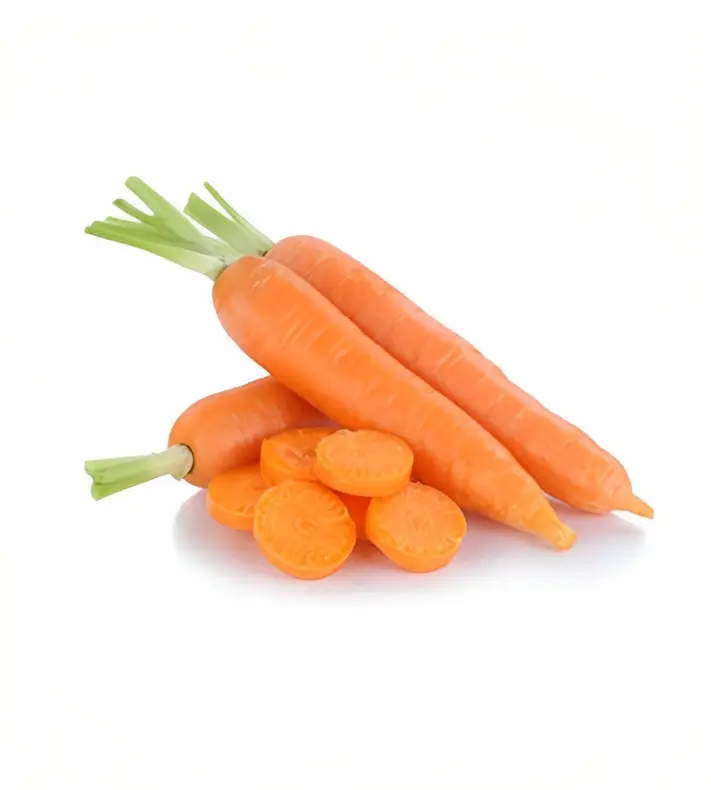 Carrot