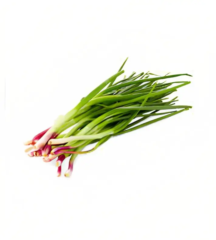 Spring onion